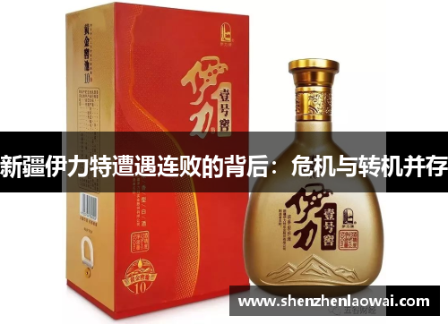 新疆伊力特遭遇连败的背后：危机与转机并存